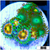 ASD Combo Zoanthids