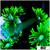 Neon Star Goni