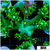 Neon Star Goni