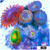 ASD Combo Zoanthids