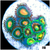 ASD Combo Zoanthids