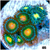 ASD Combo Zoanthids