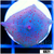 Spotted Discosoma Mushroom