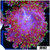 Nuclear Fuzzy Mushroom