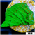 Nuclear Montipora