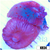 Spotted Discosoma Mushroom