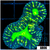 Nuclear Striped Lobophyllia