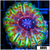 ASD Neon Cynarina