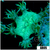 Aussie Nuclear Elegance Coral