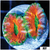 Ultra Pumpkin Lobophyllia
