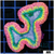 Bubble Gum Rim Lobophyllia