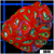 Radioactive Core Acan Lord Colony