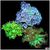 Goni Garden Triple Pack - Multiples Available - NOT Wysiwyg