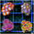 MULTIPLES AVAILABLE - ASSORTED Zoas and Palys 4 PACK