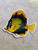 Koi Tang Sticker