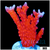 Red Montipora DIgitata