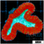 Lava rim Symphyllia
