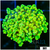 Full Nuclear Frogspawn