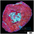 Sparkling Acan Bowerbanki