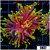 ASD Hellfire Torch