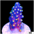 Bonsai Tort Acropora