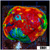 Tank Cultured Rainbow Chalice on 3 inch Disk