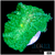 Nuclear Rhodactis Mushroom