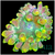 Nuclear Bubble Tip Anemone Not WYSIWYG