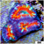 Cultured Rainbow Acan Lord