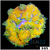 ASD Maxi Mini Carpet Anemone