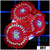 ASD Magician Zoanthids