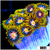Laser Lemon Zoanthids