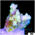 Honey Kiss Acropora