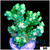 Enchanted Acropora