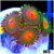 Gator Eyes Zoas