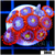 Fire And Ice Zoas