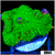 Nuclear Rhodactis Mushroom