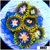 Laser Lemon Zoanthids
