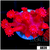 Ultra Red Goni