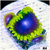 ASD ExoGlobe Zoas
