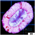 Aussie Lavender Splatter Trachy