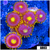 Blow Pop Zoas