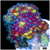 Icepox Discosoma Mushroom
