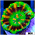 Aussie Nuclear Tiger Striped Button Scoly