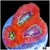 CLEARANCE - Lazer Eyes Acan Micromussa