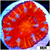 ASD Rainbow Peppermint Acan Lord