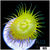 ASD Yellow Glitterbomb Paly