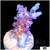 Daydream Acropora