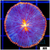 Sun Core Plate Coral