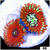 Magician Zoas